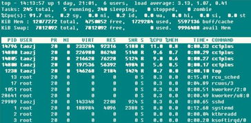 基于Linux操作系統的服務器運行參數分析與運維服務實踐
