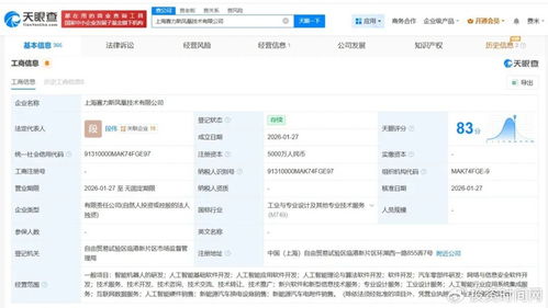 賽力斯的AI野心 以人工智能基礎軟件為支點，撬動智能汽車新未來